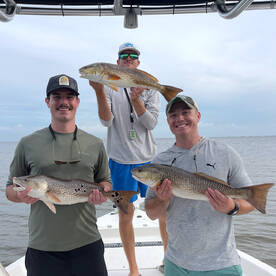 Holmes Beach Report Photo 4