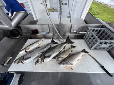 Mid September Still on them