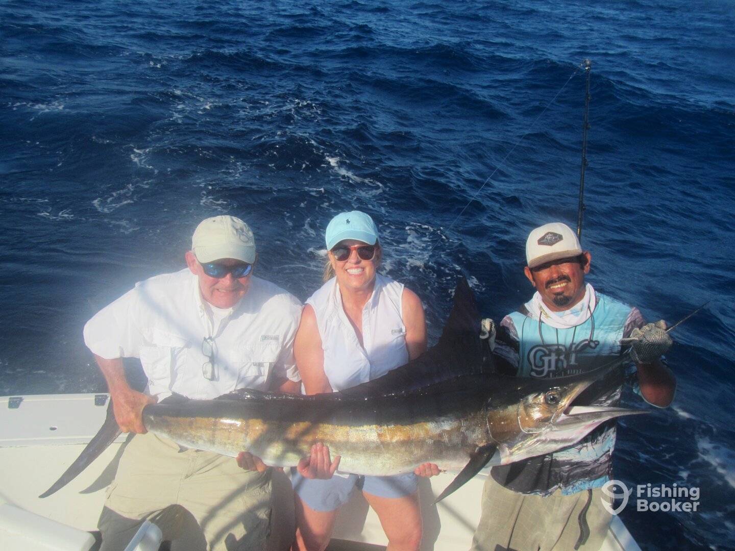 Cabo San Lucas Report Photo 0