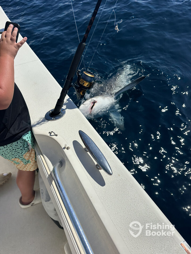 Panama City Beach Report Photo 0