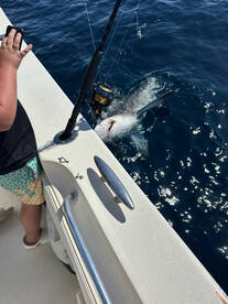 Fall fishing is on fire