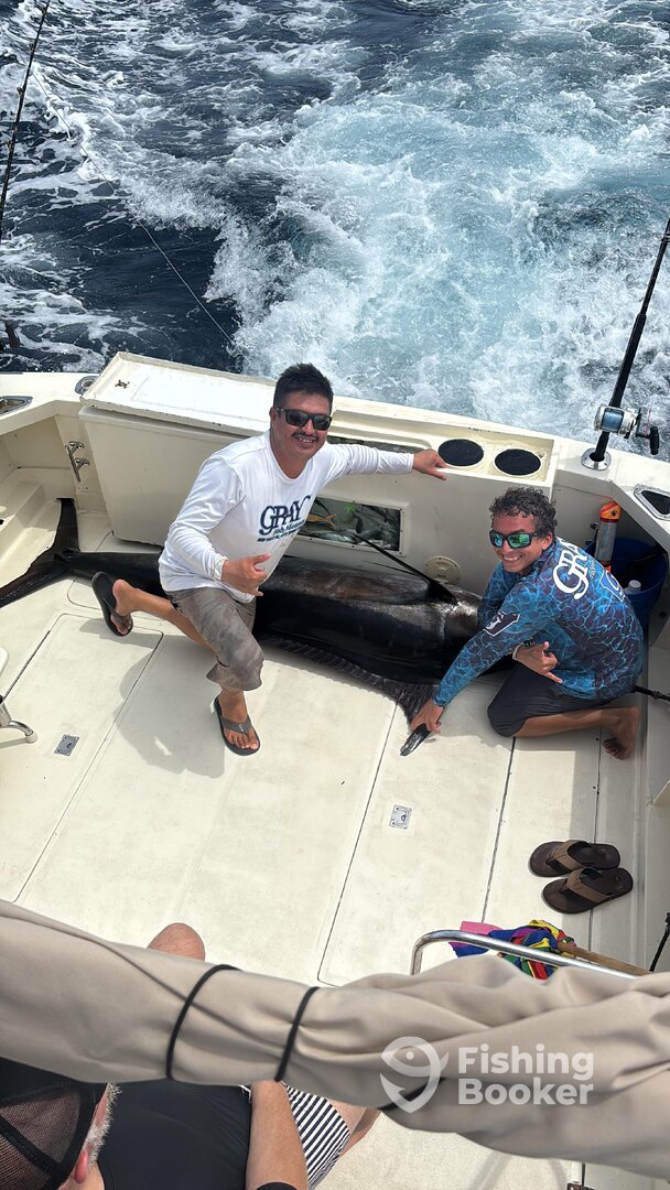 Puerto Vallarta Report Photo 0