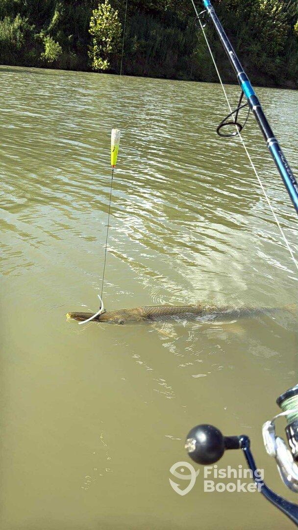 Matagorda Bay Report Photo 0