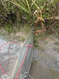 Wadsworth Report Photo 3