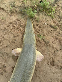 Matagorda Bay Report Photo 2