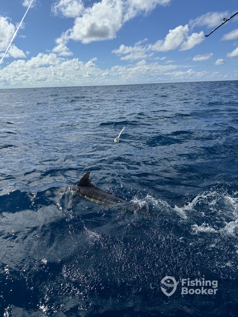 San Juan Report Photo 0