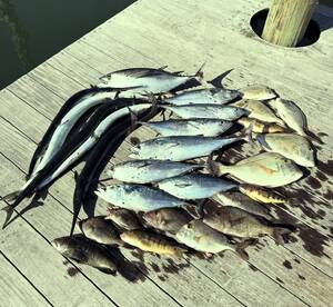 Wilmington Report Photo 2