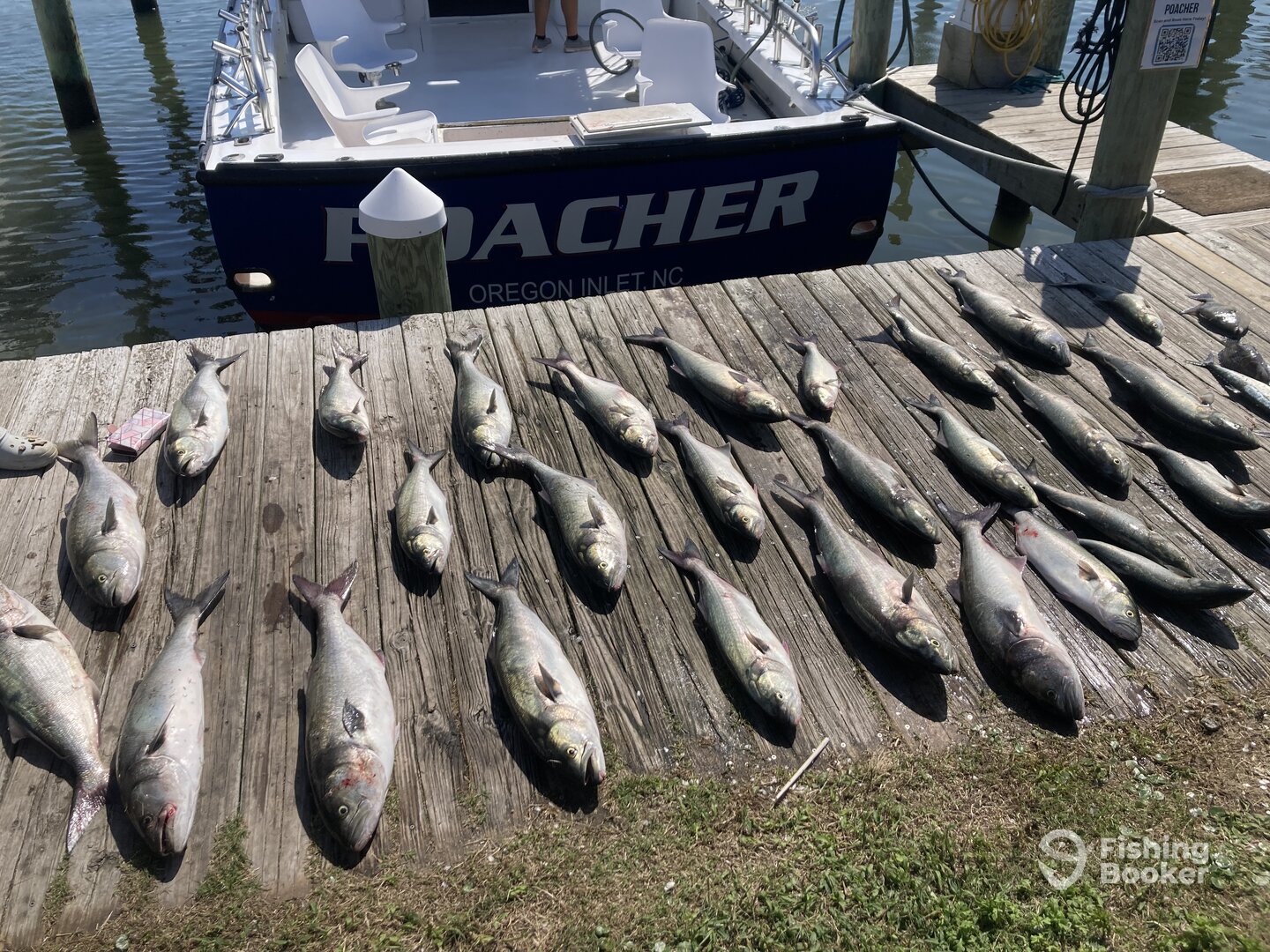 Nags Head Report Photo 0