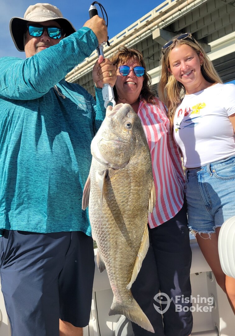 Marco Island Report Photo 0