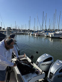 Bay Area Report Photo 1