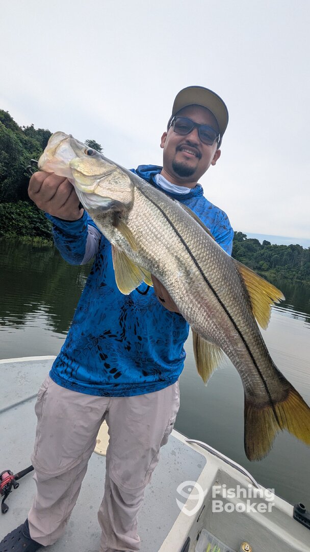 Gamboa Report Photo 0