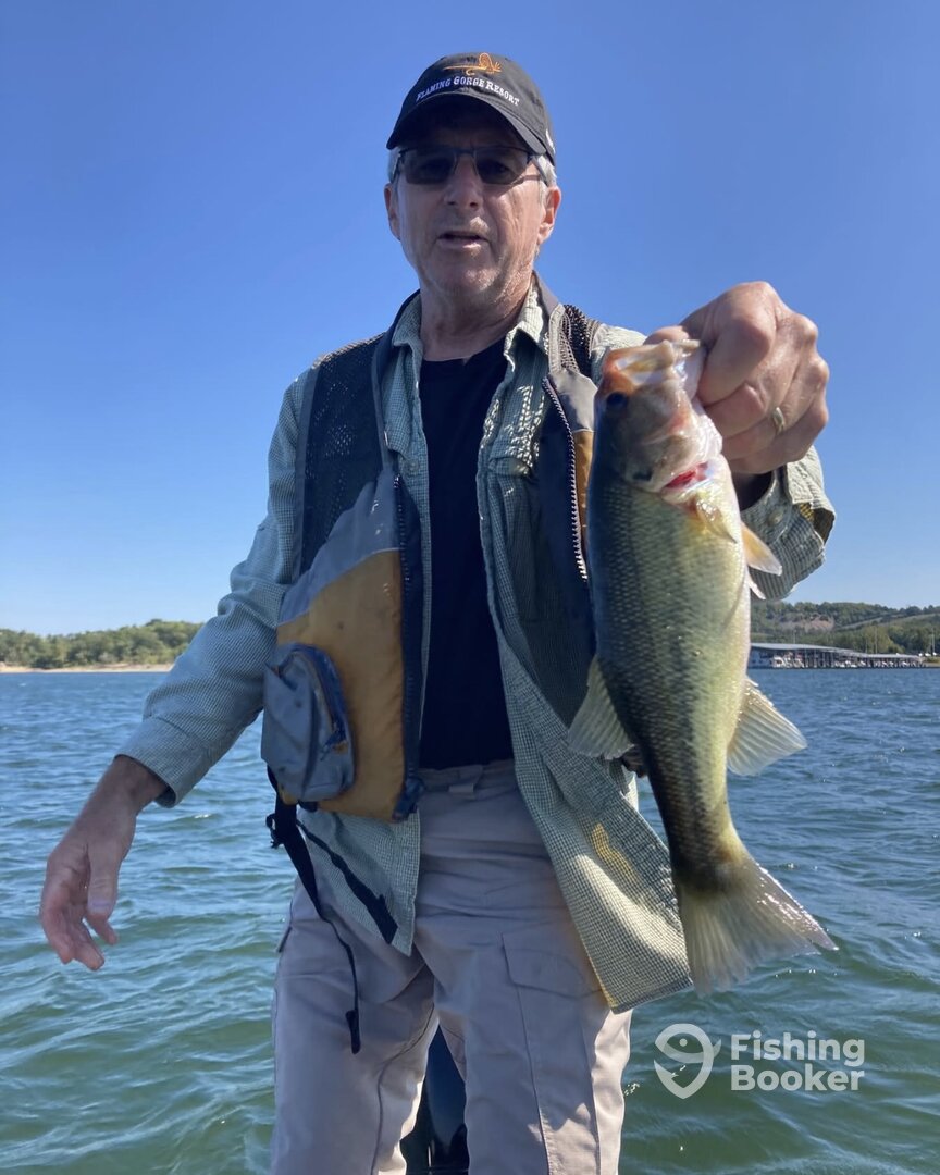 Branson Report Photo 0