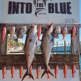 Destin Report Photo 2