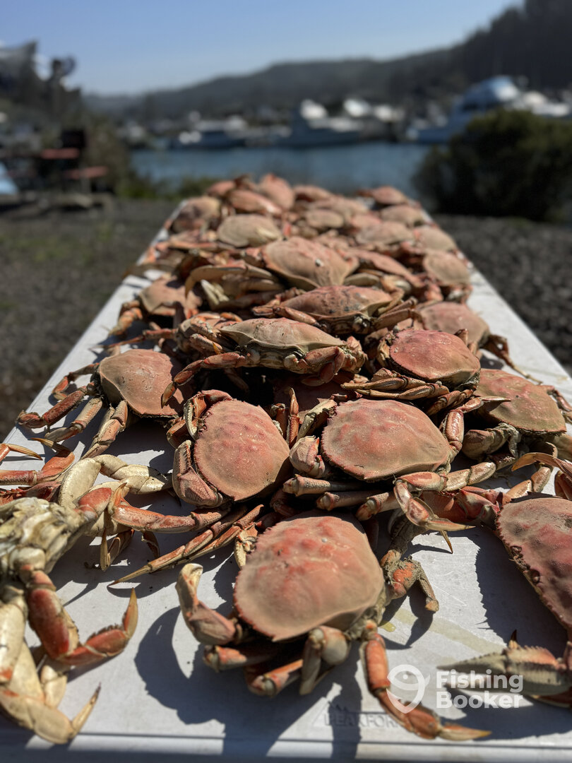 We offer just crabbing or fishing and crabbing!