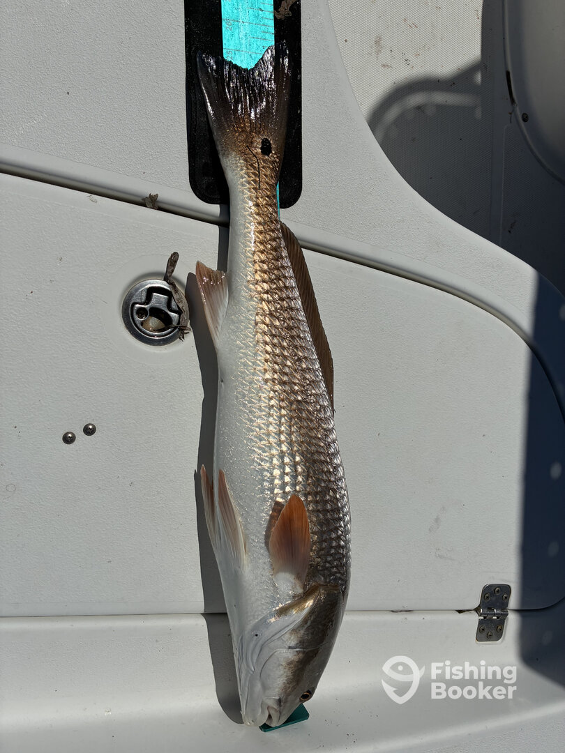 Lee County Report Photo 0