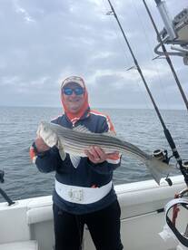 Sesuit Harbor Report Photo 2