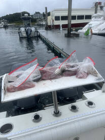 Sesuit Harbor Report Photo 1