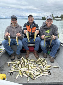 Phenomenal perch Fishing!