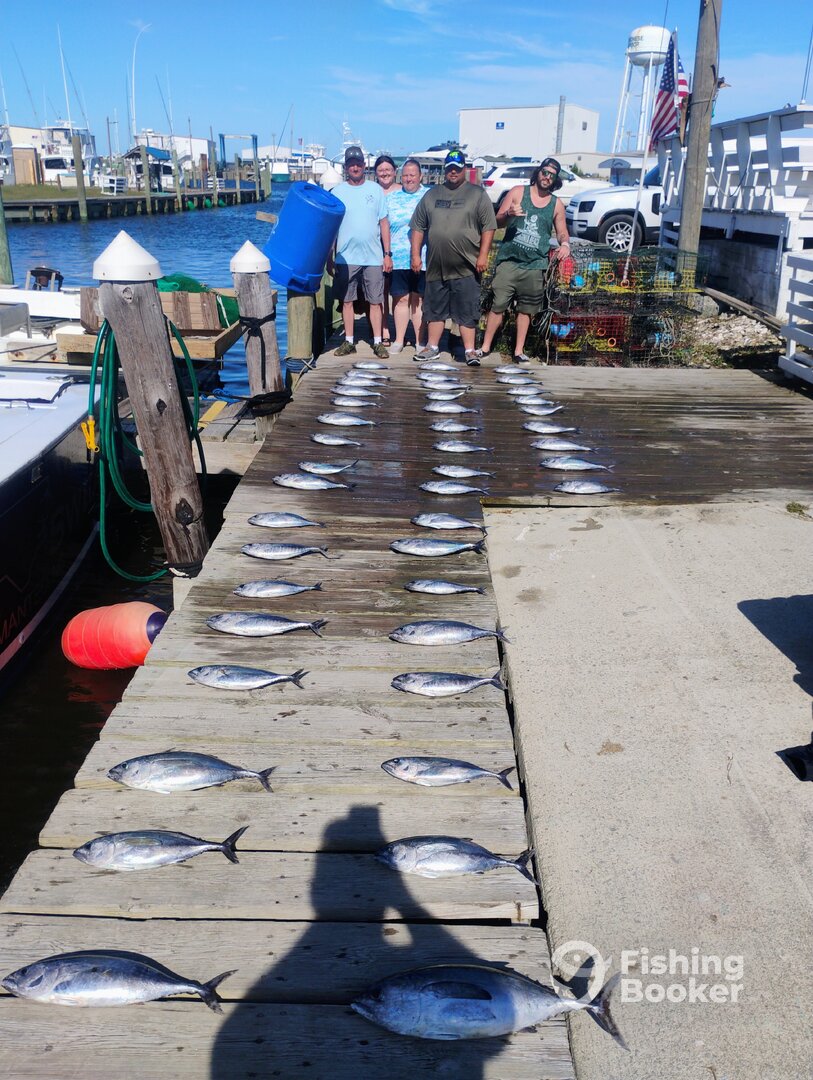 Wanchese Report Photo 0
