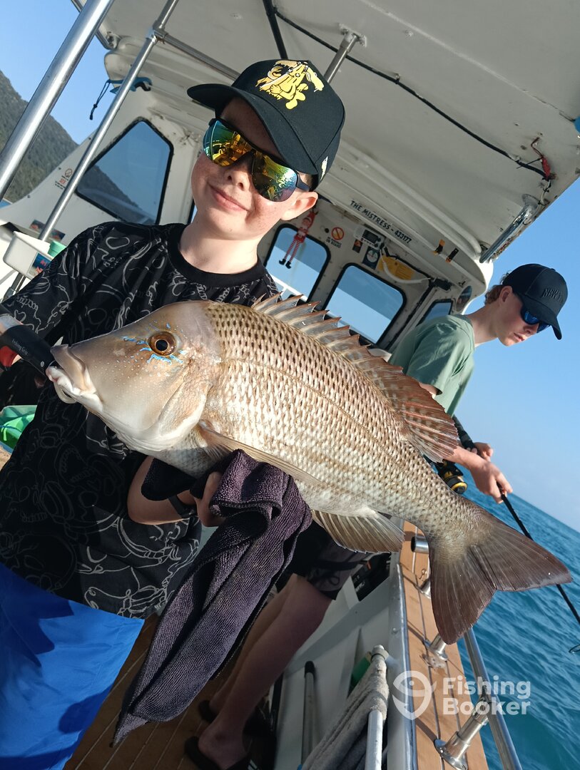 Airlie Beach Report Photo 0