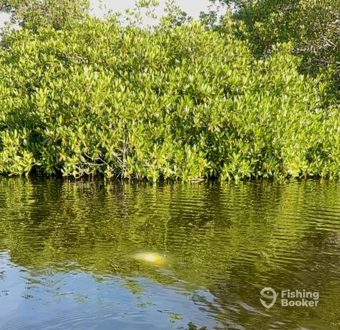 Islamorada Report Photo 0