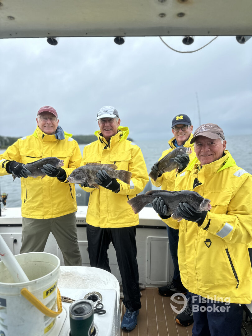Buzzards Bay Report Photo 0