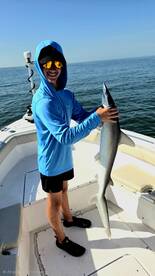 Tybee Island Report Photo 1