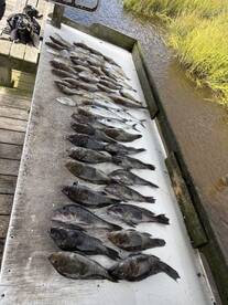 Bottom fishing 6hr
