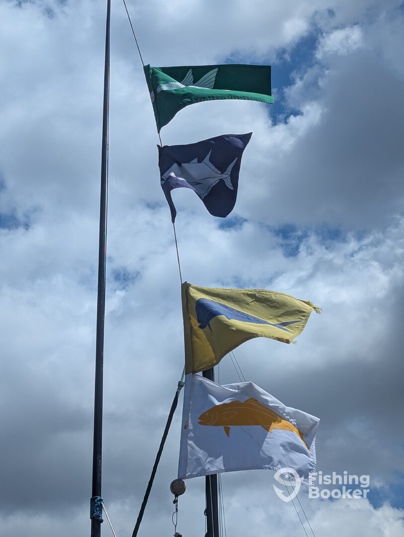 Haleiwa Report Photo 0