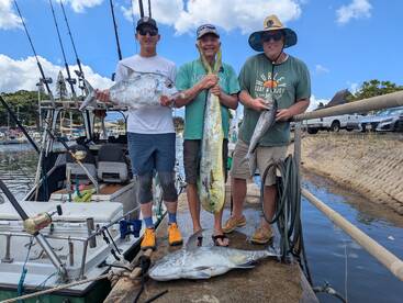 Haleiwa Report Photo 2