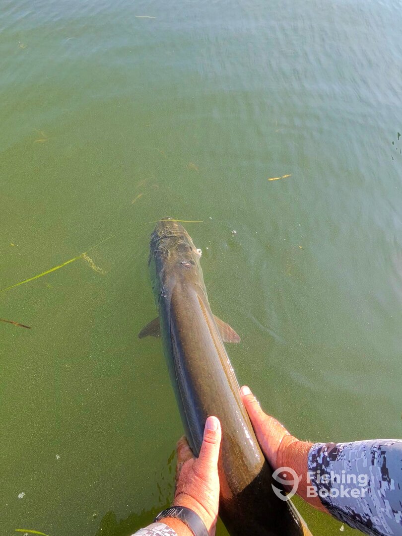 Minneapolis Report Photo 0