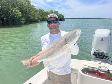 Big reds and snook are on the bite