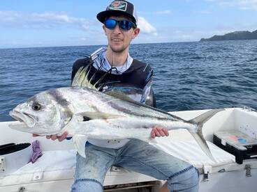 Roosters fish and whales