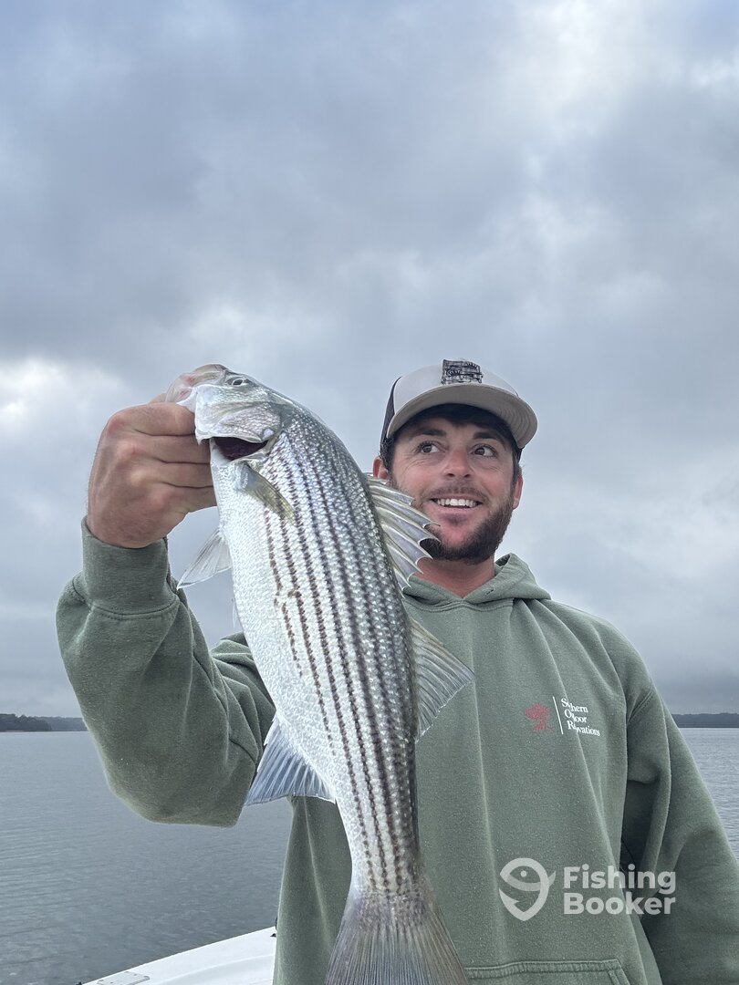 Townville Report Photo 0