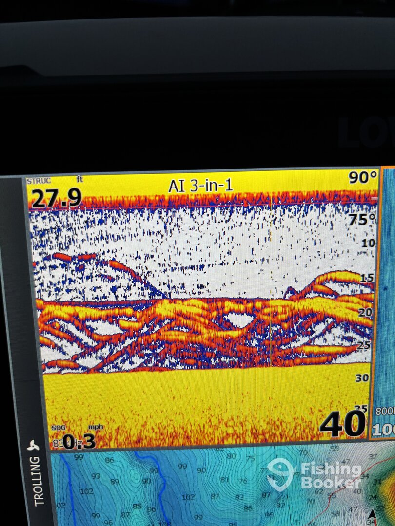 Lake Hartwell Report Photo 0