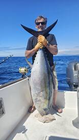 Azores Report Photo 2