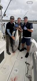 Pacific Coast Report Photo 2