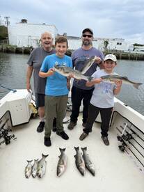 Top water, striper bite and blues