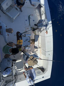 West Palm Beach Report Photo 2