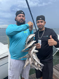 Half day bite