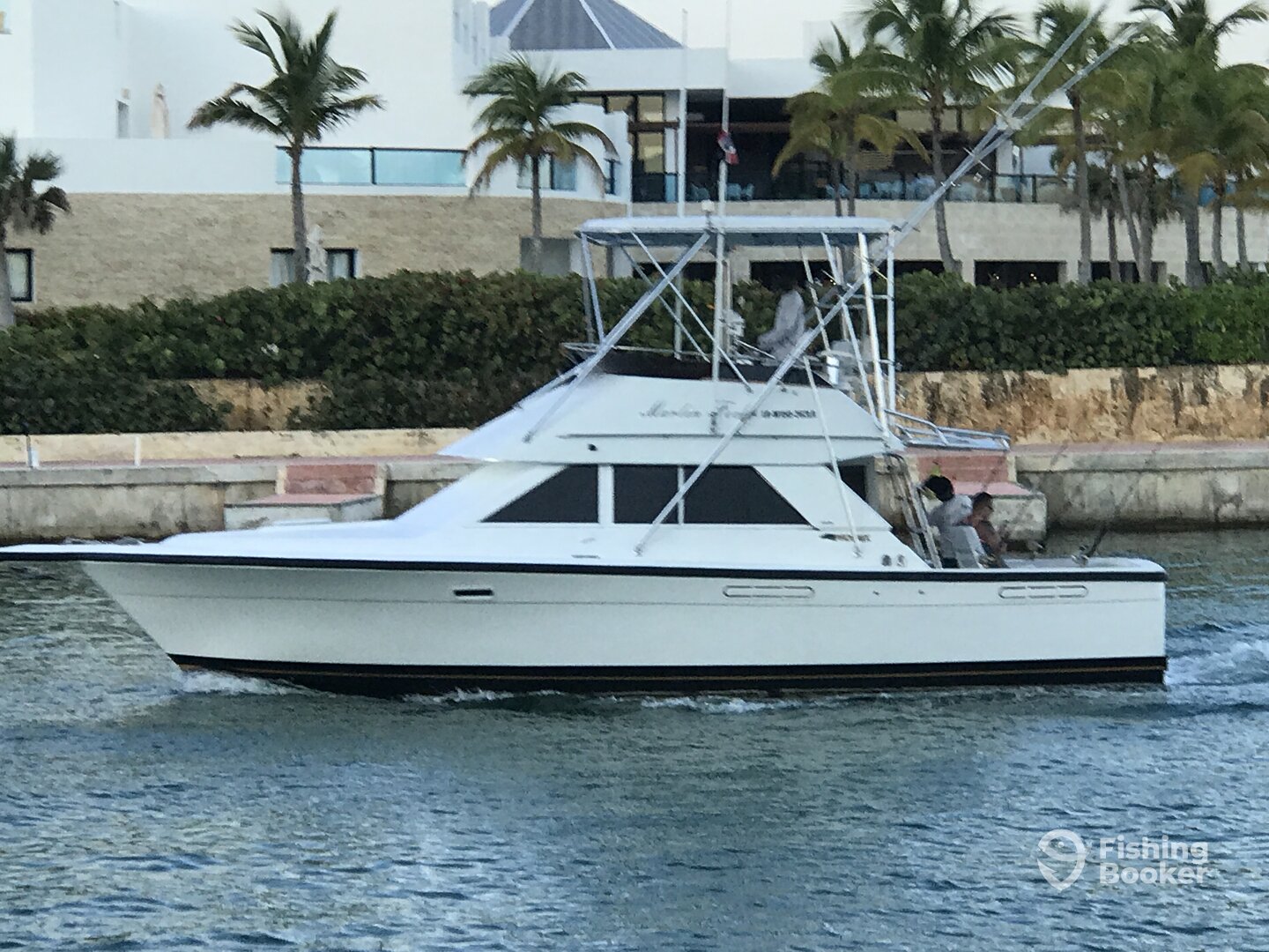 Punta Cana Report Photo 0