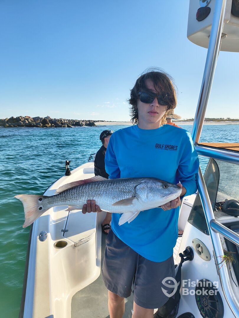 Bay County Report Photo 0