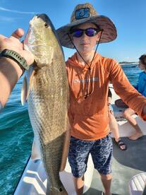 Bay County Report Photo 1