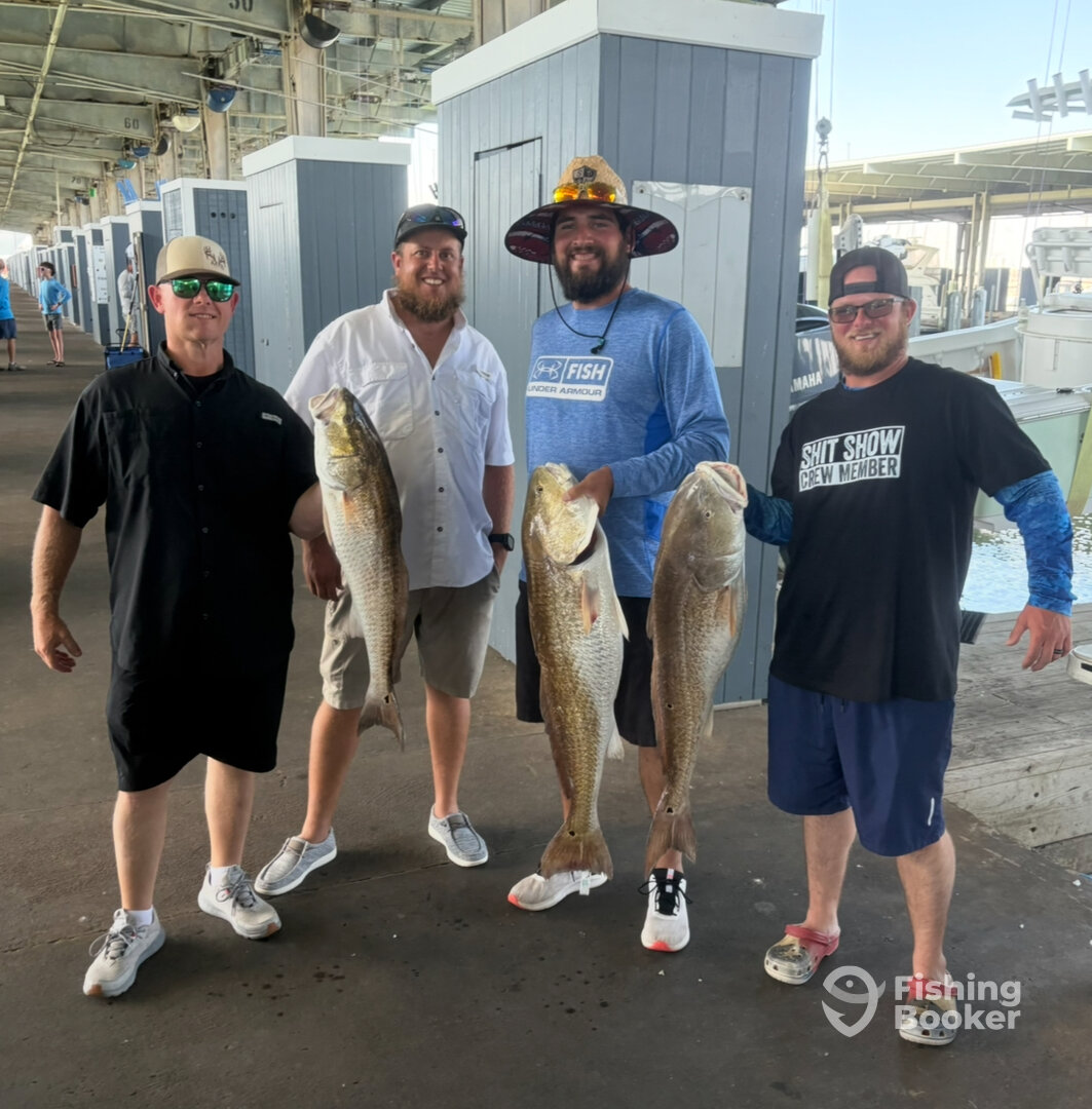 Galveston Report Photo 0