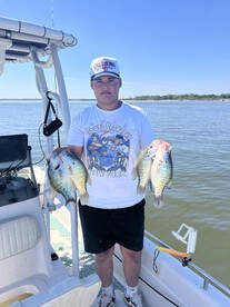 Early fall Crappie