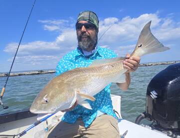 Redfish are HERE!