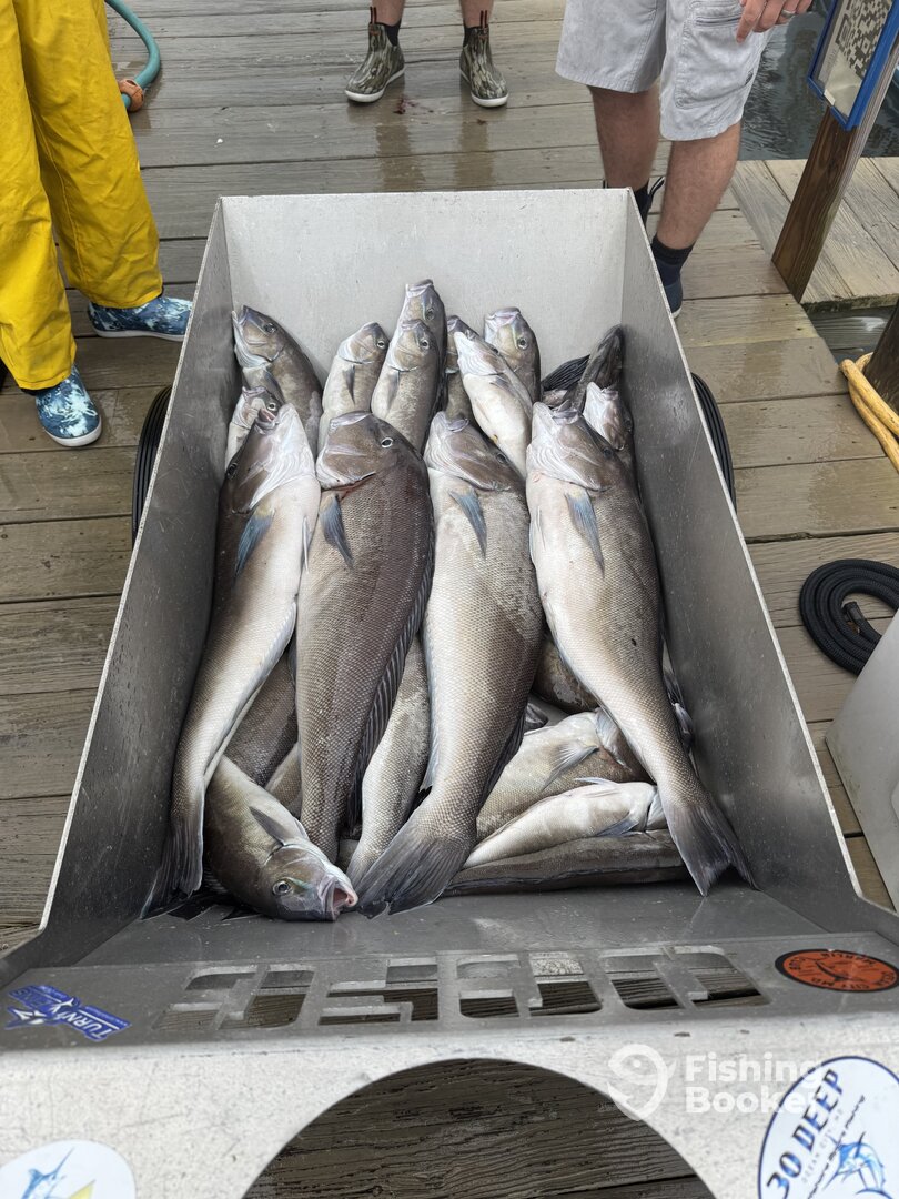 Ocean City Report Photo 0