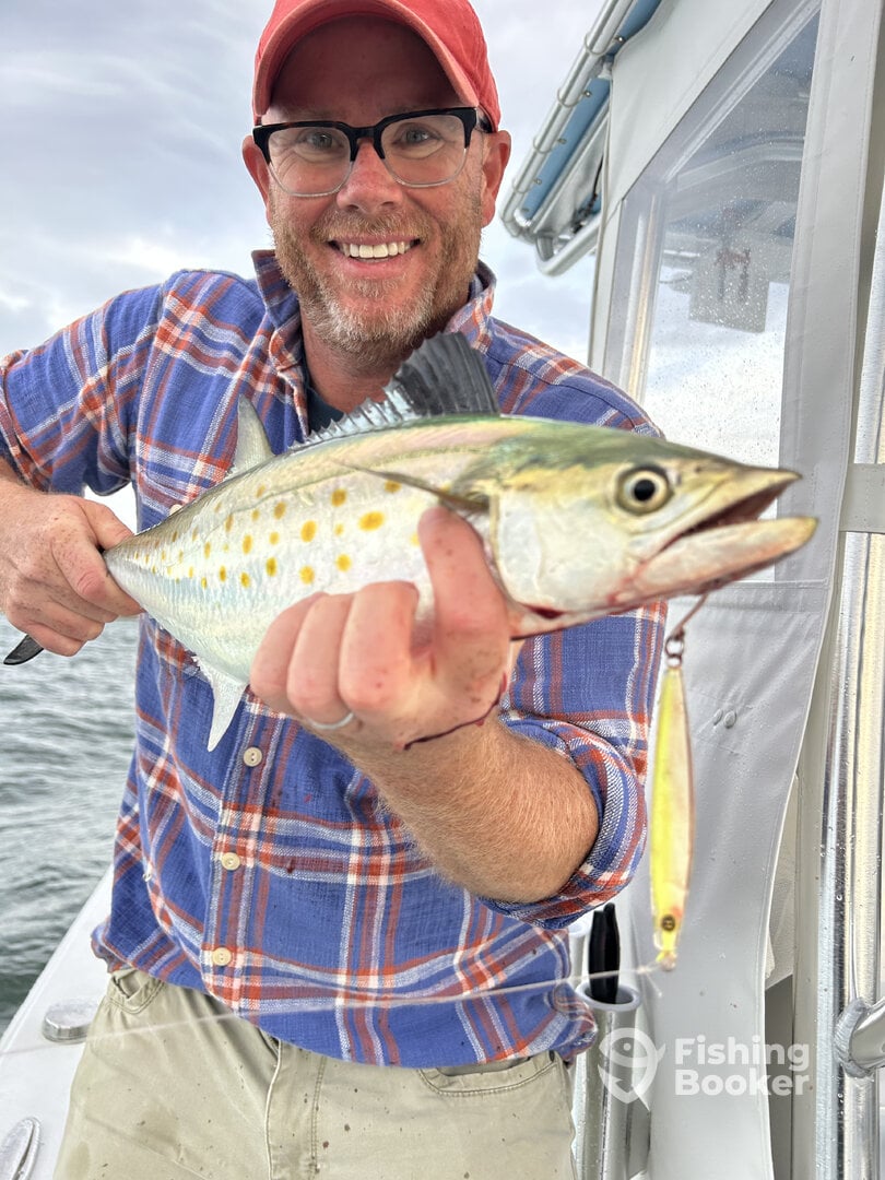 Cape Cod Report Photo 0