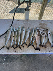 Hillsborough Bay Report Photo 3