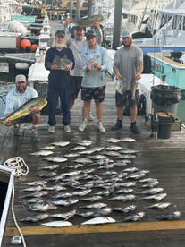 Virginia Beach Report Photo 1